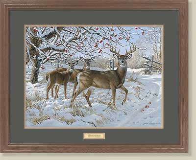 November Snowfall-Whitetail Deer by Persis Clayton Weirs (image for) November Snowfall-Whitetail Deer by Persis Clayton Weirs